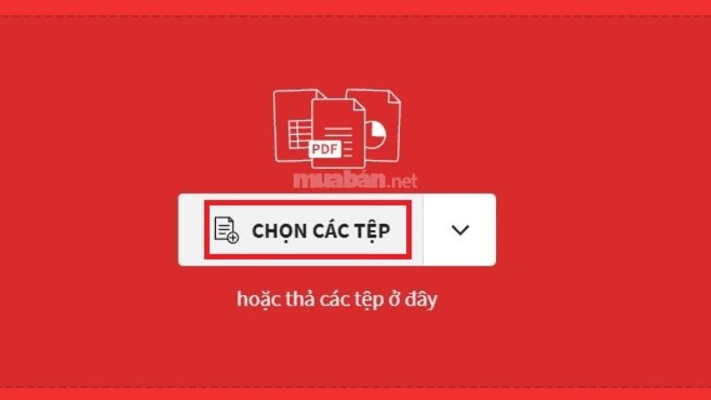 Nhấn Chọn Các Tệp để tải file Excel