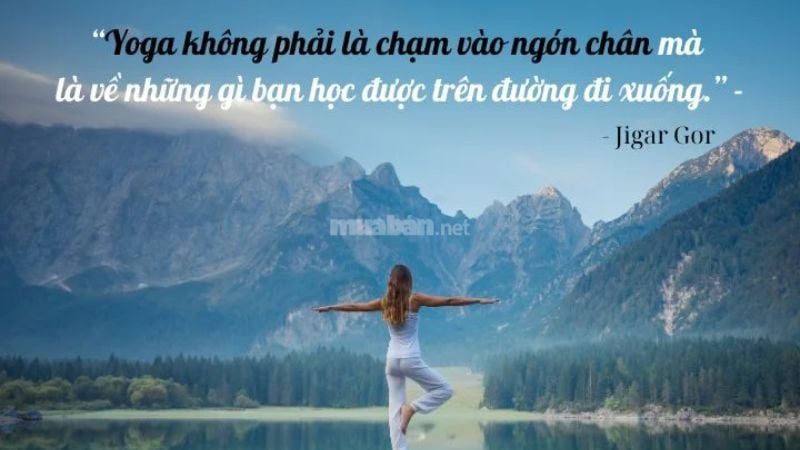 Các câu nói hay về yoga giúp truyền cảm hứng luyện tập