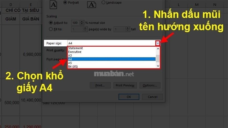 Chọn khổ giấy A4