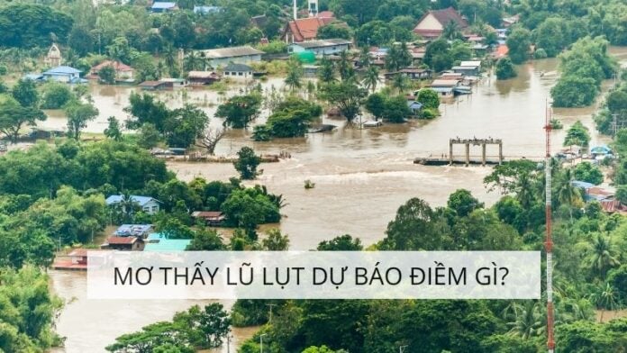 Mơ Thấy Lũ Lụt: Dự Báo Tương Lai Hay Cảnh Báo Từ Tiềm Thức?