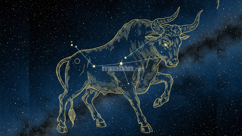 Xếp Hạng Red Flag Cung Hoàng Đạo 2025: Ai Nguy Hiểm Nhất? Kim Ngưu thường được biết đến với tính cách kiên định và đáng tin cậy