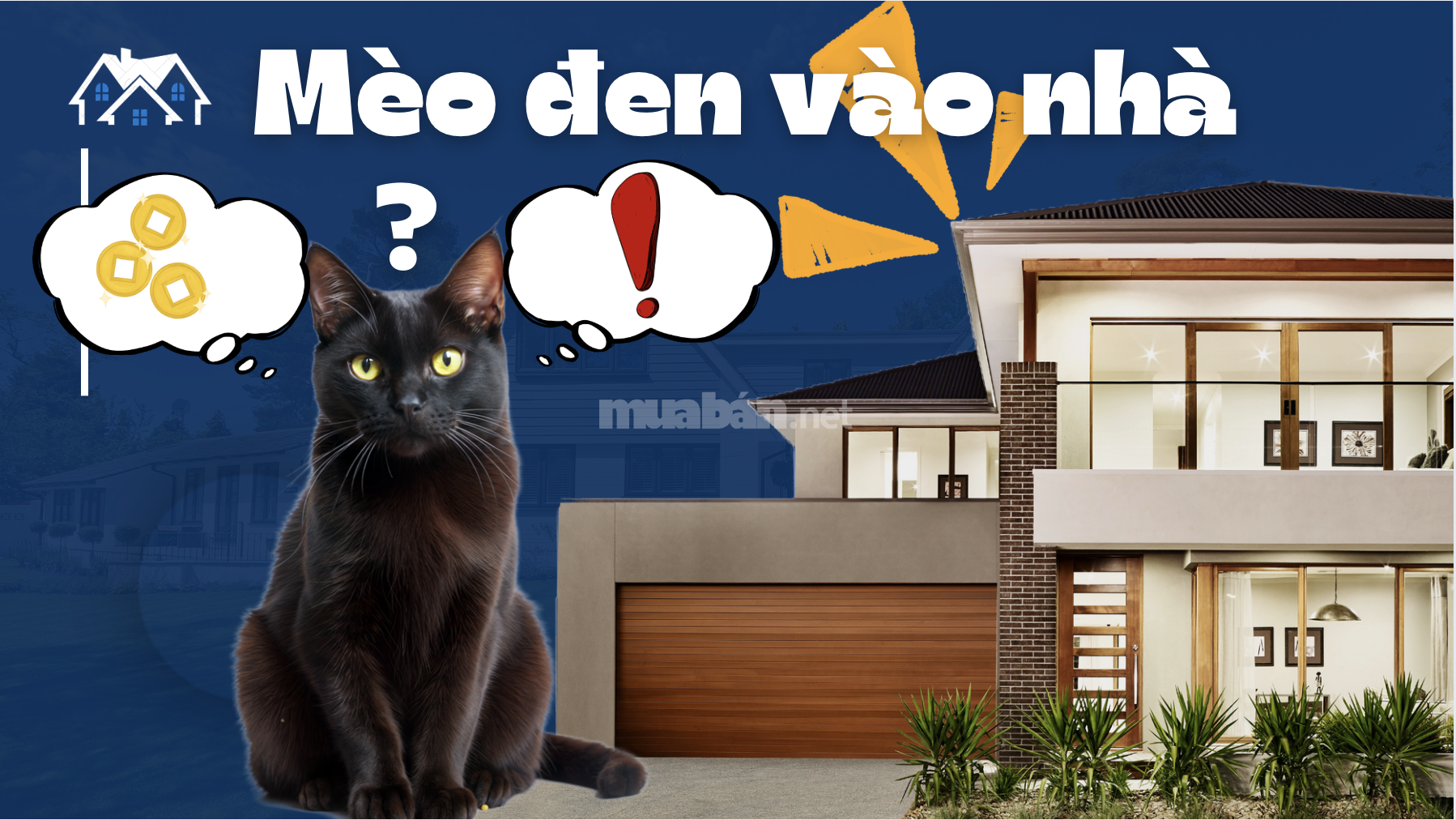 Mèo Đen Vào Nhà Là Tốt Hay Xấu? Giải Mã Điềm Báo Phong Thủy Mèo đen vào nhà
