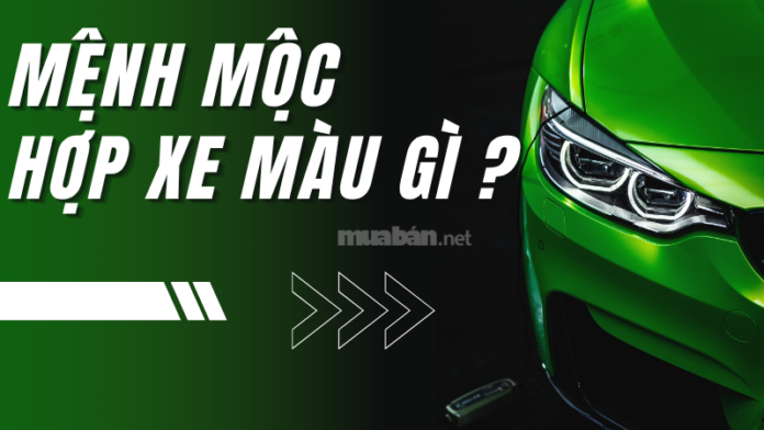 Mệnh mộc hợp xe màu gì?