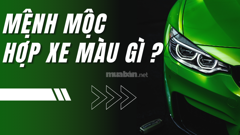 Mệnh Mộc Hợp Xe Màu Gì? Gợi Ý Phong Thủy Giúp Tài Vận Tăng Cao Mệnh mộc hợp xe màu gì?