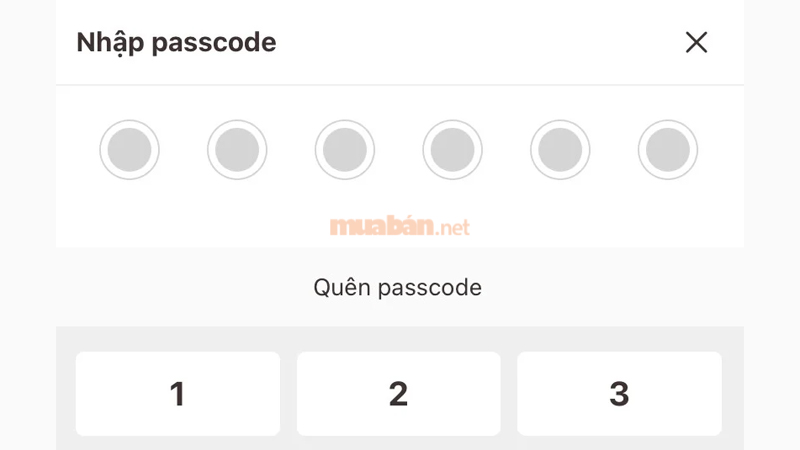 Cách tích hợp đăng ký xe vào VNeID đơn giản và nhanh chóng Nhập passcode