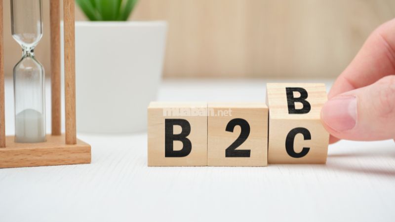 B2C là gì? Đặc điểm của mô hình B2C và sự khác biệt với B2B Sự khác biệt của mô hình B2C với B2B là gì?