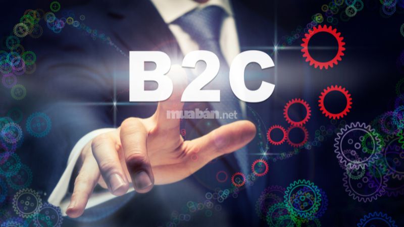 B2C là gì? Đặc điểm của mô hình B2C và sự khác biệt với B2B B2C là gì?