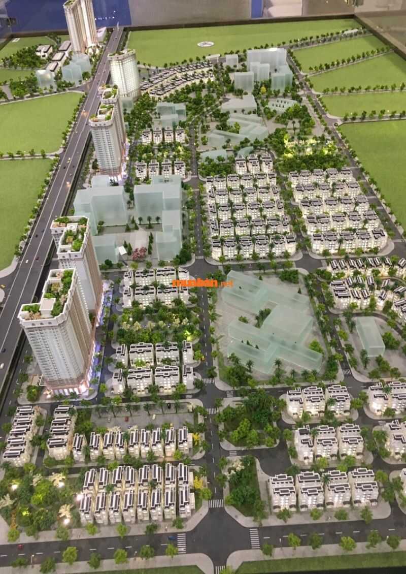 Dự án Athena Fulland Đại Kim: Tiềm năng sinh lời và tiện ích vượt trội Mặt bằng căn hộ dự án Athena Fulland gồm có biệt thự đơn lập và biệt thự song lập