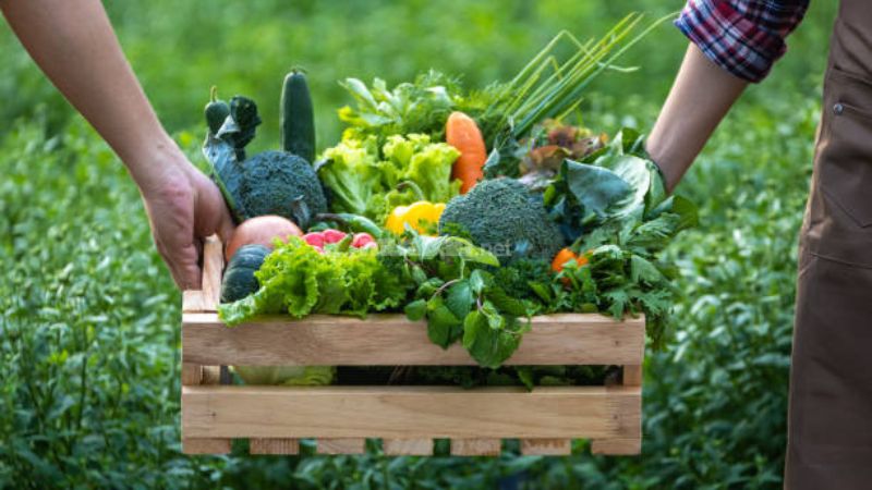 Ngành F&B là gì? Kiến thức cơ bản đến chuyên sâu bạn nên biết Mô hình “Farm to Table”
