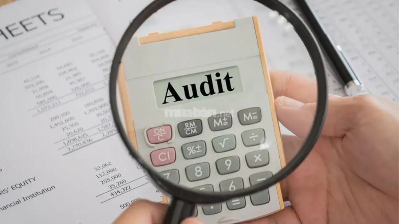 Audit là gì? Tìm hiểu từ A đến Z về kiểm toán Audit là làm gì?