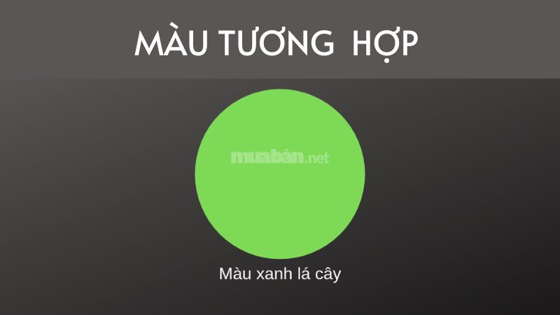 Mệnh Mộc hợp xe màu gì để thu hút may mắn và tài lộc? Màu tương hợp