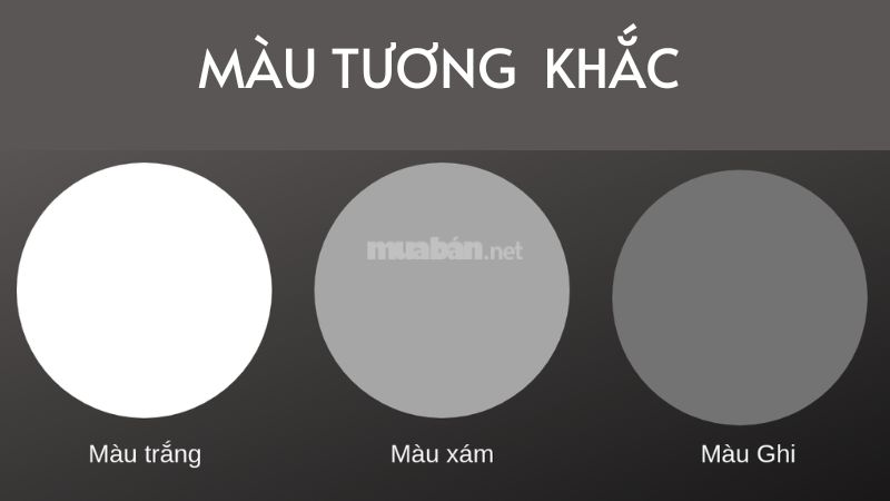 Mệnh Mộc hợp xe màu gì để thu hút may mắn và tài lộc? Các màu xe không hợp với mệnh Mộc
