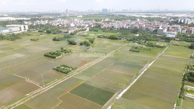Đất phi nông nghiệp được phép xây dựng nhà được xác định là đất ở