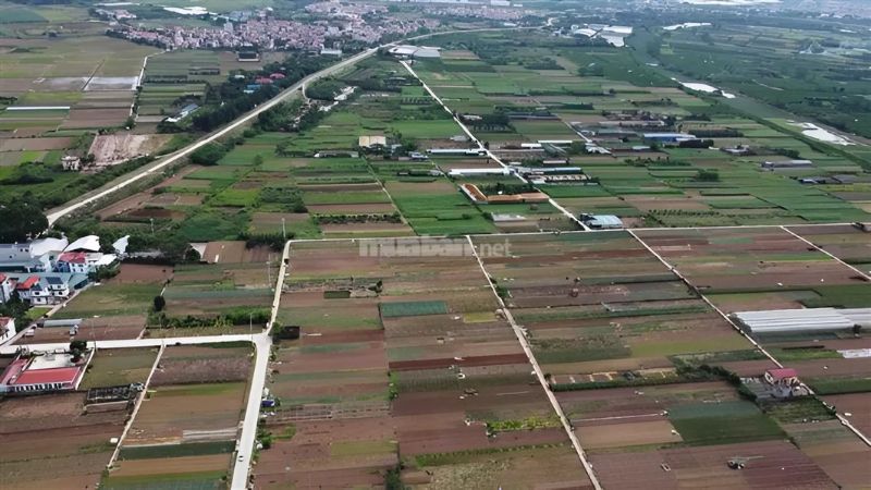 Lưu ý khi mua bán đất phi nông nghiệp