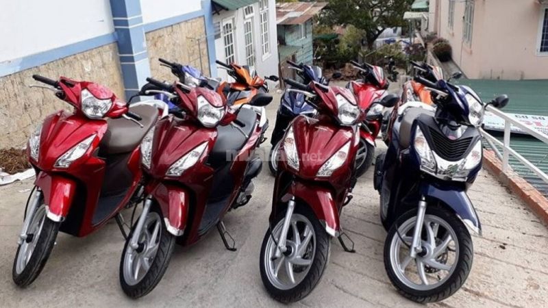 Top 11 Địa Điểm Thuê Xe Máy Ninh Bình Uy Tín Nhất 2025 Những chiếc xe tại cửa hàng đều còn mới và chất lượng