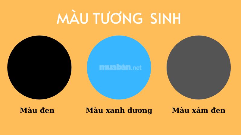 Mệnh Mộc hợp xe màu gì để thu hút may mắn và tài lộc? Màu tương sinh