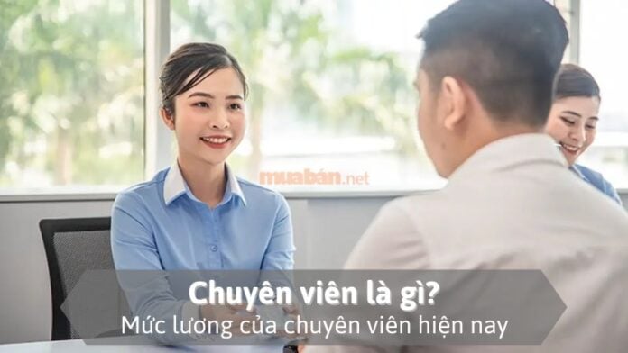 Chuyên viên là gì?