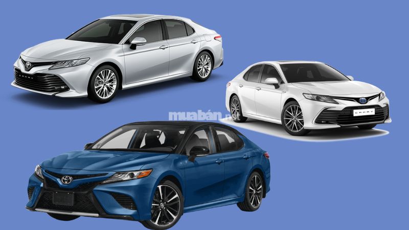 Mệnh thuỷ hợp xe màu gì để mang đến tài lộc cho chủ sở hữu? Những mẫu xe có màu hợp với mệnh Thủy