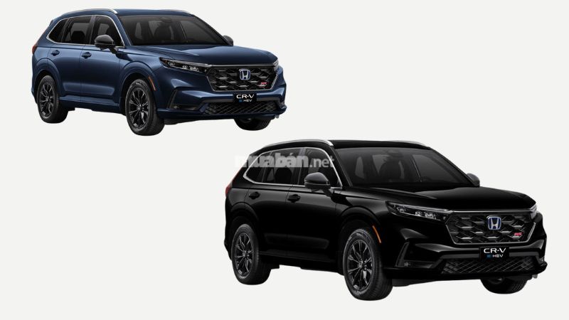 Mệnh thuỷ hợp xe màu gì để mang đến tài lộc cho chủ sở hữu? Honda CR-V (màu đen, xanh dương)