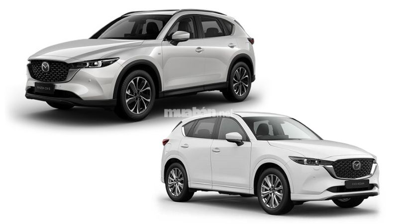 Mệnh thuỷ hợp xe màu gì để mang đến tài lộc cho chủ sở hữu? Mazda CX-5 (màu xám, trắng)