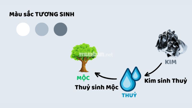 Mệnh thuỷ hợp xe màu gì để mang đến tài lộc cho chủ sở hữu? Người mệnh thủy hợp màu xe gì?
