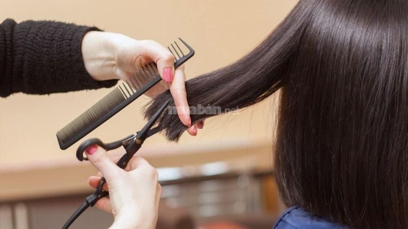 Việc cắt tóc có thể ảnh hưởng đến tài lộc, sức khỏe và tinh thần.