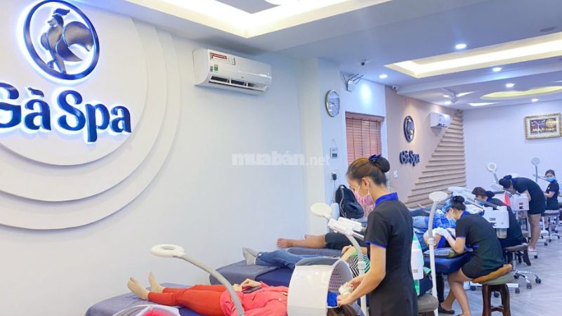 Tổng hợp 14 địa chỉ massage Buôn Ma Thuột chất lượng, giá rẻ Gà Spa