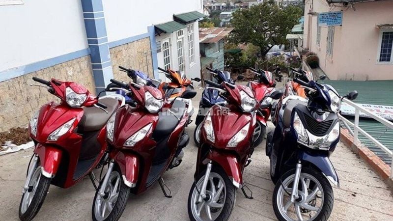 Danh sách địa điểm cho thuê xe máy Cam Ranh được đánh giá tốt nhất 2025 Tìm thêm địa chỉ cho thuê xe máy tại Cam Ranh ở đâu?