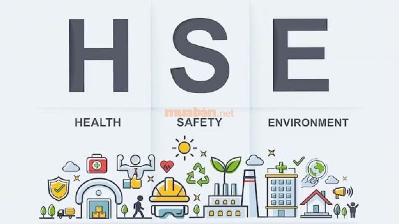 HSE là gì? Vai trò đối với doanh nghiệp và mức thu nhập nghề HSE HSE là gì