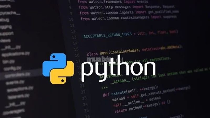 Backend là gì? Tìm hiểu vai trò cốt lõi của Backend Ngôn ngữ lập trình phía máy chủ