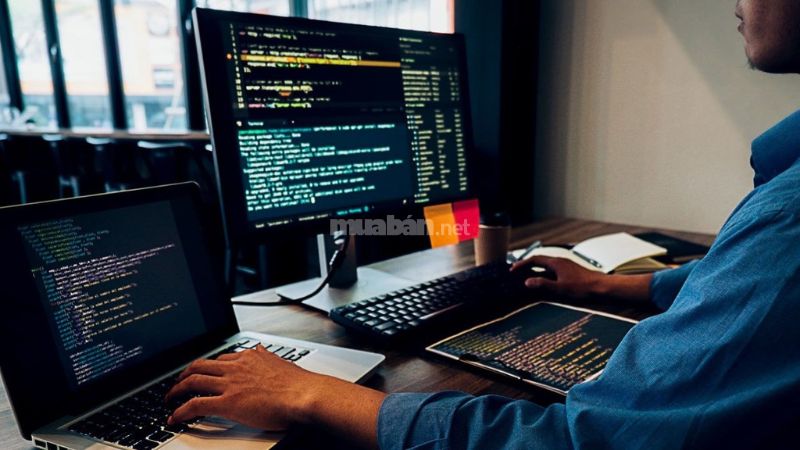 Backend là gì? Tìm hiểu vai trò cốt lõi của Backend Logic phía máy chủ