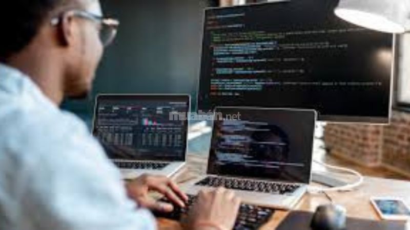 Backend là gì? Tìm hiểu vai trò cốt lõi của Backend Sử dụng thành thạo ngôn ngữ lập trình