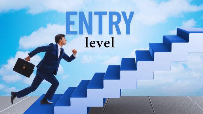 Entry level là gì và phù hợp với ai?