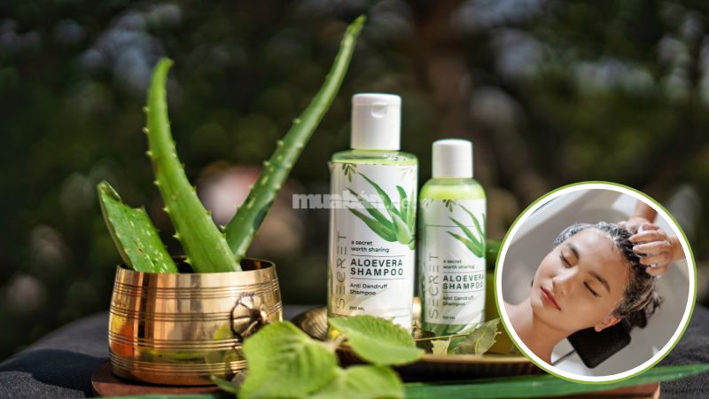 Top 10 địa điểm gội đầu dưỡng sinh Hà Nội uy tín và chất lượng Top 10 địa điểm gội đầu dưỡng sinh Hà Nội tốt nhất 2025