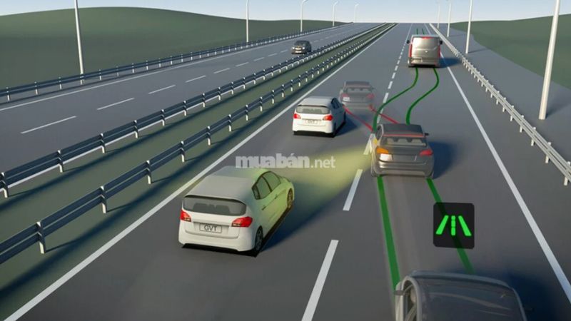 Lỗi đi sai làn đường xe ô tô phạt bao nhiêu? Cập nhật quy định mới nhất 2025
