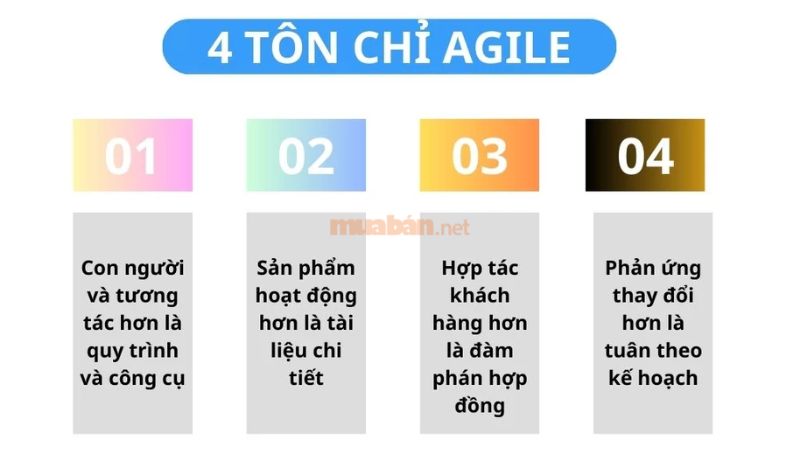 Agile là gì? Lợi ích và ứng dụng Agile trong quản lý dự án 4 Tôn chỉ của Agile