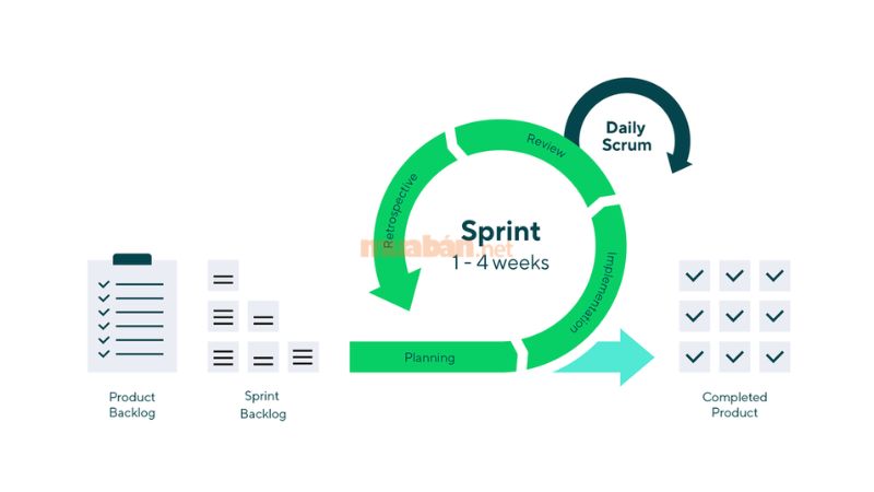 Agile là gì? Lợi ích và ứng dụng Agile trong quản lý dự án Scrum là phương pháp phổ biến nhất trong Agile