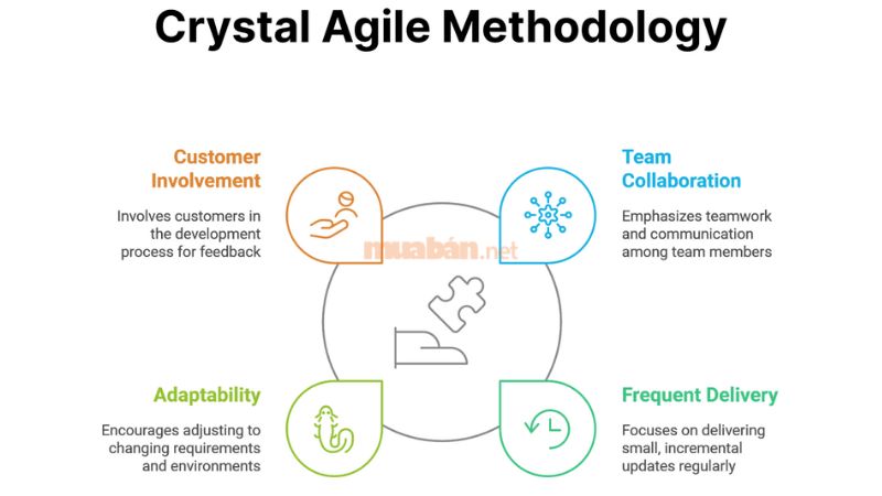 Agile là gì? Lợi ích và ứng dụng Agile trong quản lý dự án Crystal là một tập hợp các phương pháp phát triển phần mềm theo Agile