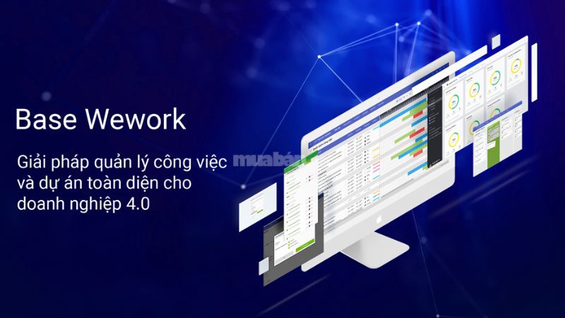 Agile là gì? Lợi ích và ứng dụng Agile trong quản lý dự án Base Wework