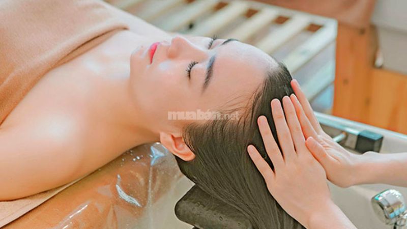 12 địa điểm gội đầu dưỡng sinh Vũng Tàu chất lượng hoàn hảo Địa điểm gội đầu dưỡng sinh chất lượng cao tại Vũng Tàu