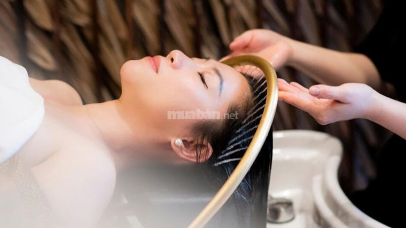12 địa điểm gội đầu dưỡng sinh Vũng Tàu chất lượng hoàn hảo Địa điểm gội đầu dưỡng sinh chất lượng cao tại Vũng Tàu