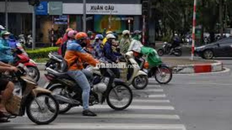 Sai vạch kẻ đường