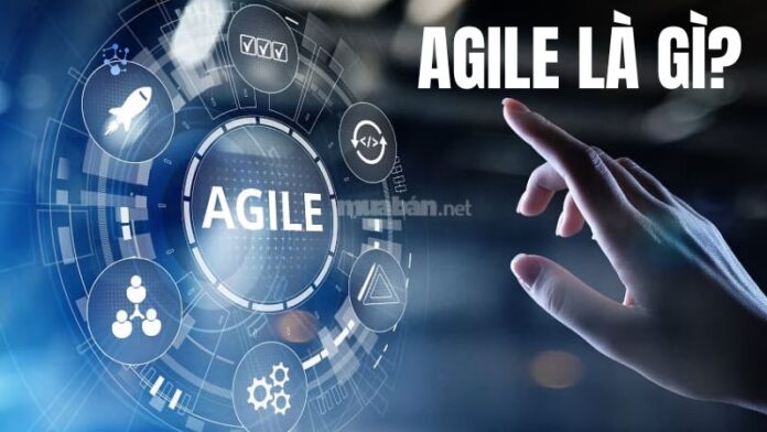 Agile là gì?