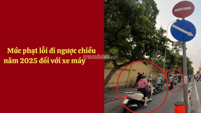 Lỗi đi ngược chiều xe máy