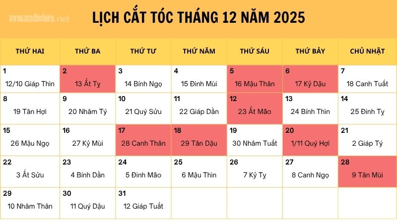Xem lịch cắt tóc tháng 12 năm 2025 mang lại nhiều may mắn Lịch cắt tóc tháng 12 năm 2025
