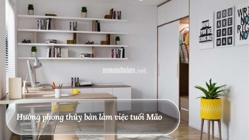 Hướng bàn làm việc phong thủy giúp tăng tài lộc và hiệu suất Hướng phong thủy bàn làm việc tuổi Mão