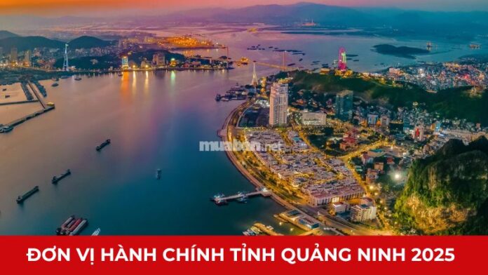 Đơn vị hành chính tỉnh Quảng Ninh 2025