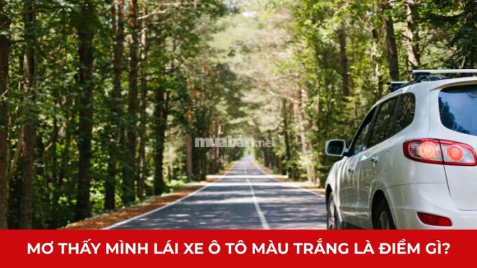 mơ thấy mình lái xe ô tô màu trắng