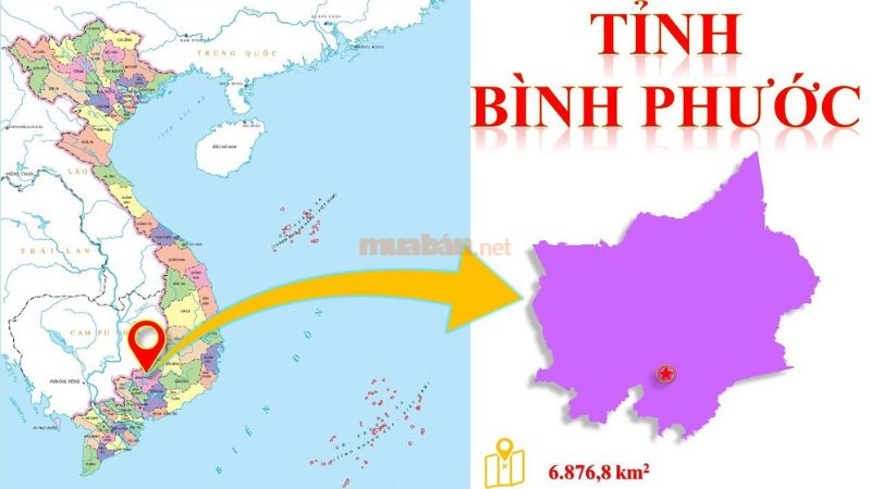 Bình Phước sáp nhập với tỉnh nào? Danh sách xã/phường và giá nhà đất mới nhất