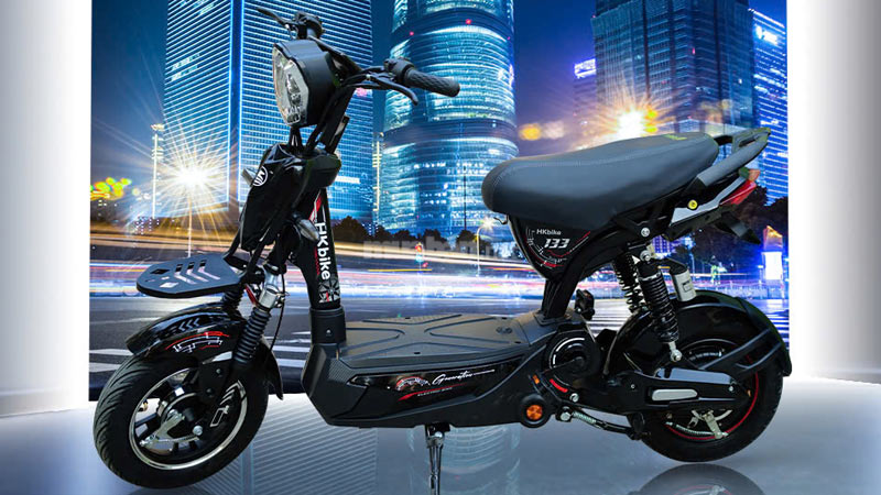 Xe đạp điện HKBike 133